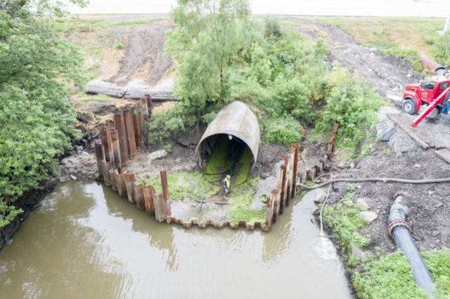 Job #20046
Midwest Mole
Gary, Indiana and Lafayette, Indiana
July Visit